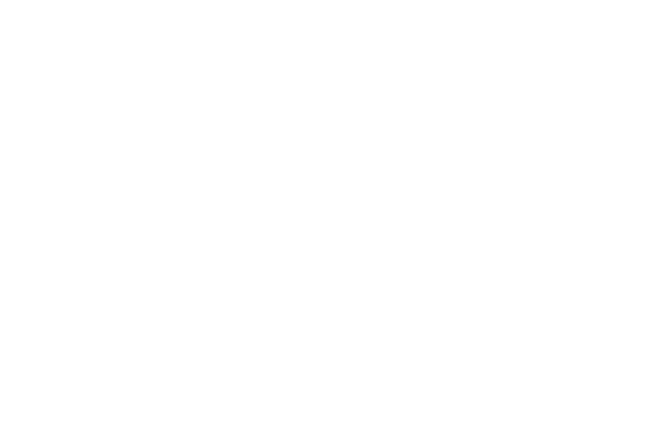 Mesterbedrift